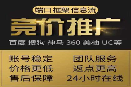 百度SEO推广公司案例分享：行业佼佼者经验